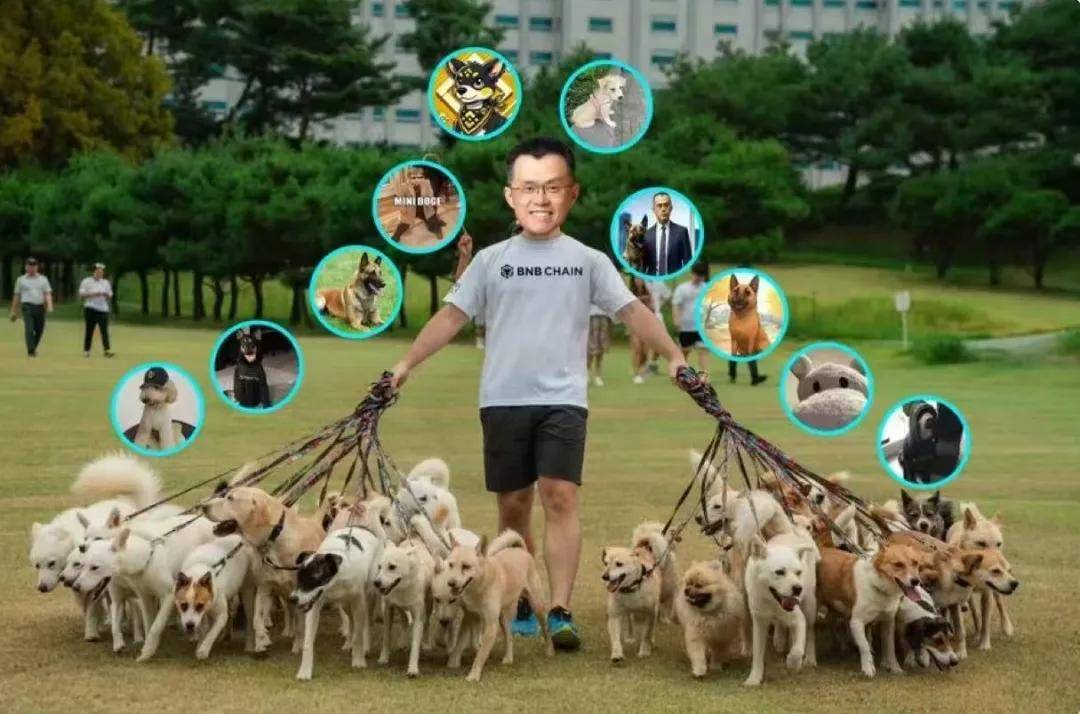 赵长鹏为Broccoli迷因币道歉！补偿散户能否“挽救”BNB生态热度？
